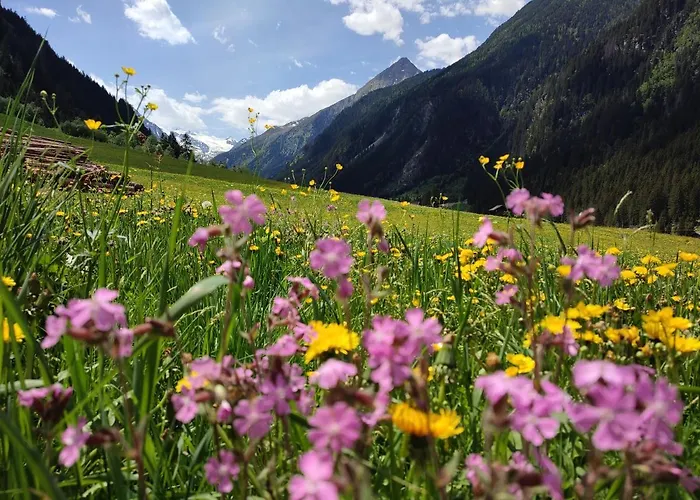 Haus Ferchl * نيوستيف ام ستوبيتا